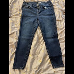 Torrid Jegging Size 18S